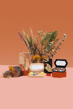 Load image into Gallery viewer, Geologie Cosmetics Eye Set